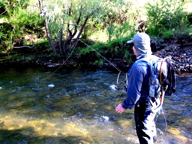 One of the most beautiful fly fishing spots near Lady Grey